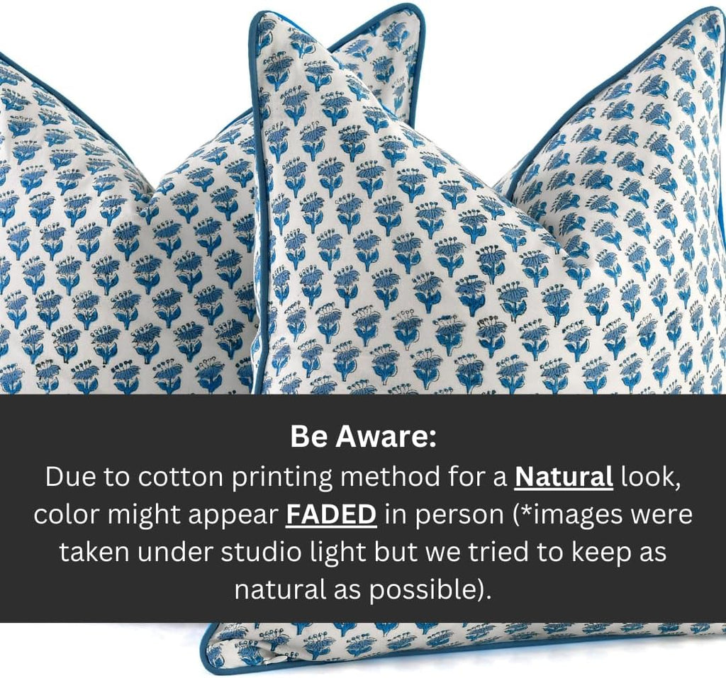 CPC 100% Cotton Throw Pillow Covers 18x18 Inch, Set of 2 Blue Block Print Pattern Couch Pillow, Cute Boho Decorative Pillows for Living Room, Bedroom with Hidden Zipper- Apatite Blue