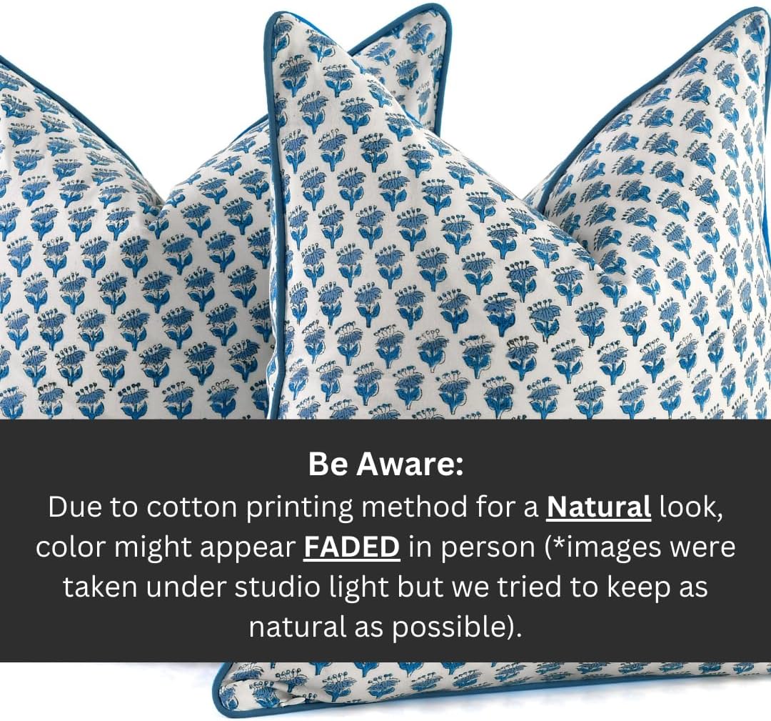 CPC 100% Cotton Throw Pillow Covers 18x18 Inch, Set of 2 Blue Block Print Pattern Couch Pillow, Cute Boho Decorative Pillows for Living Room, Bedroom with Hidden Zipper- Apatite Blue