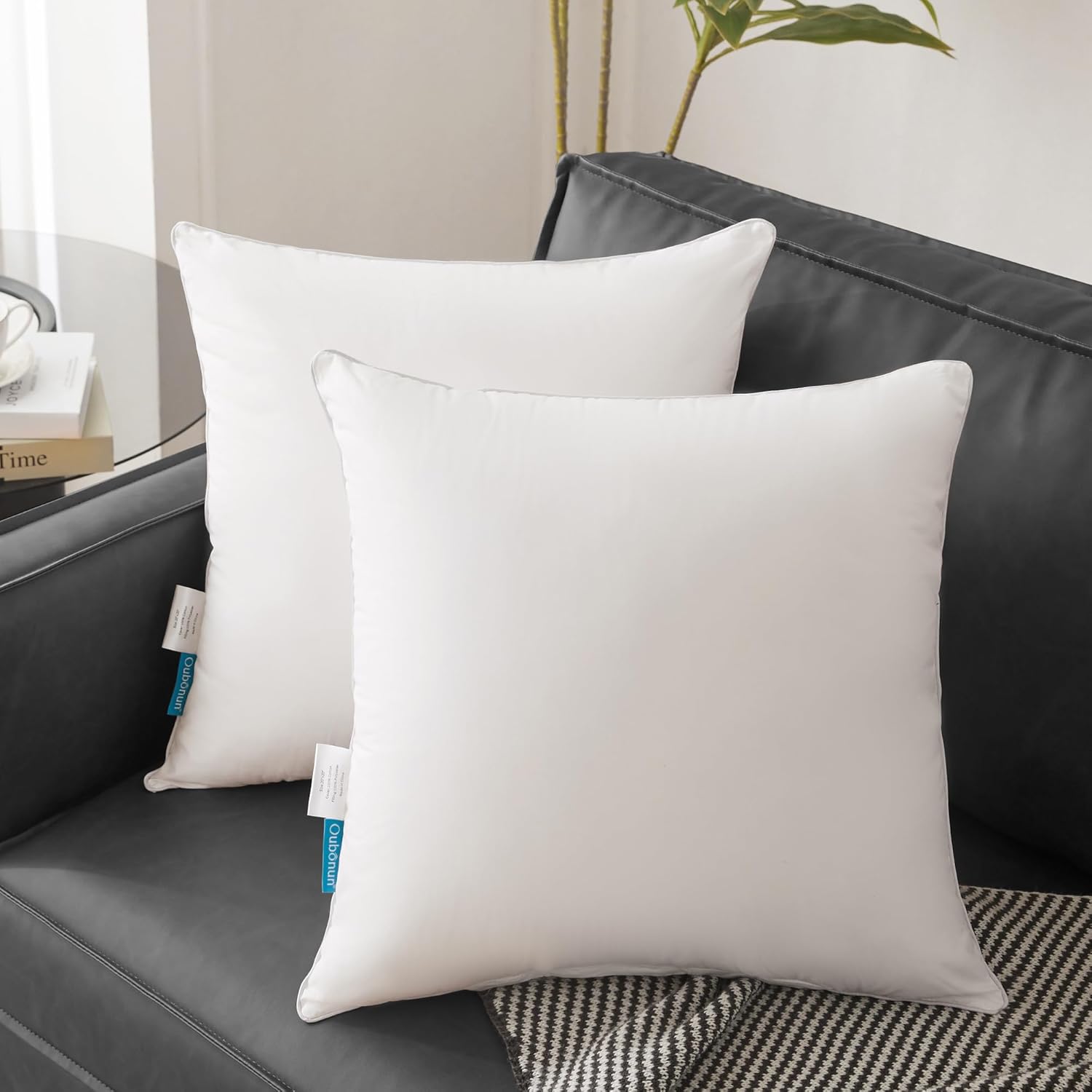 Oubonun 28 x 28 Pillow Inserts (Set of 2) - Euro Pillow Inserts with 100% Cotton Cover - 28 Inch Square Interior Sofa Pillow Inserts - Decorative Pillow Insert Pair - White Couch Pillow